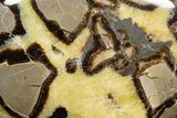 Gorgeous, Polished Septarian Stone - Madagascar #341869-1